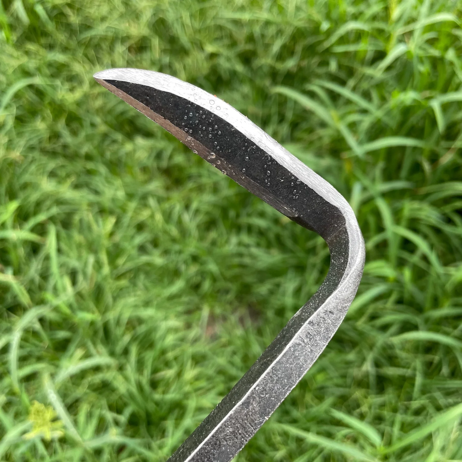 Piginor - Cape Cod Weeder (PG002) - Image 2