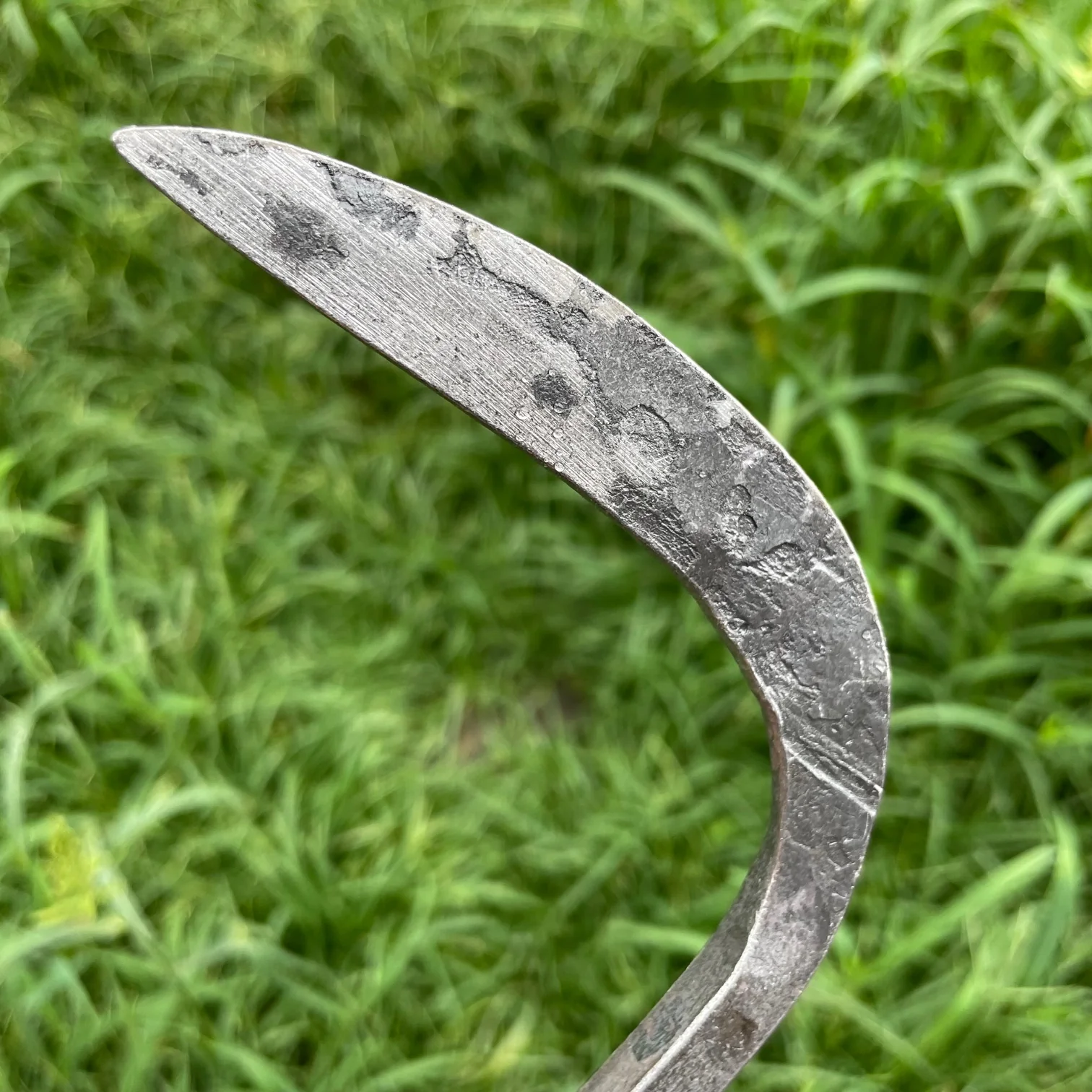 Piginor - Crevice Weeder - Image 2